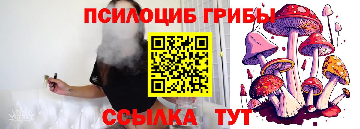 Галлюциногенные грибы Psilocybine cubensis  Вход с VPN  Радужный 
