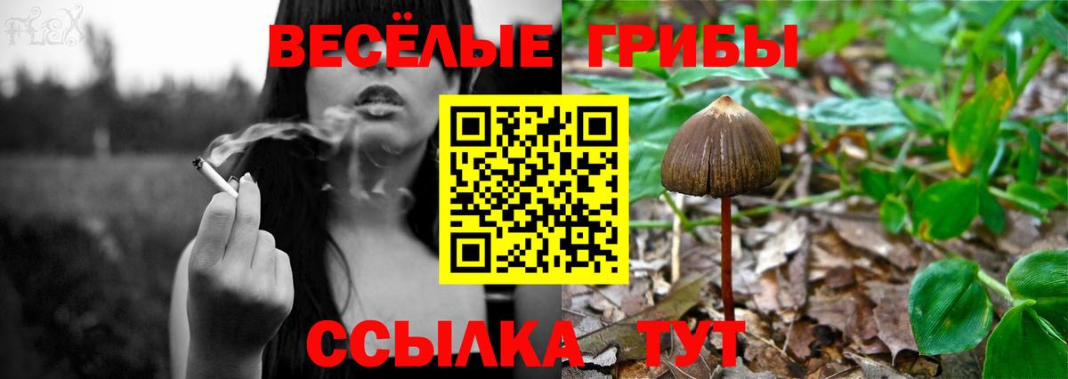 Галлюциногенные грибы GOLDEN TEACHER Радужный