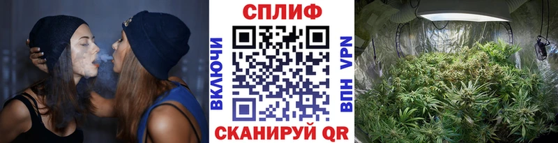 Бошки марихуана семена KRAKEN Радужный